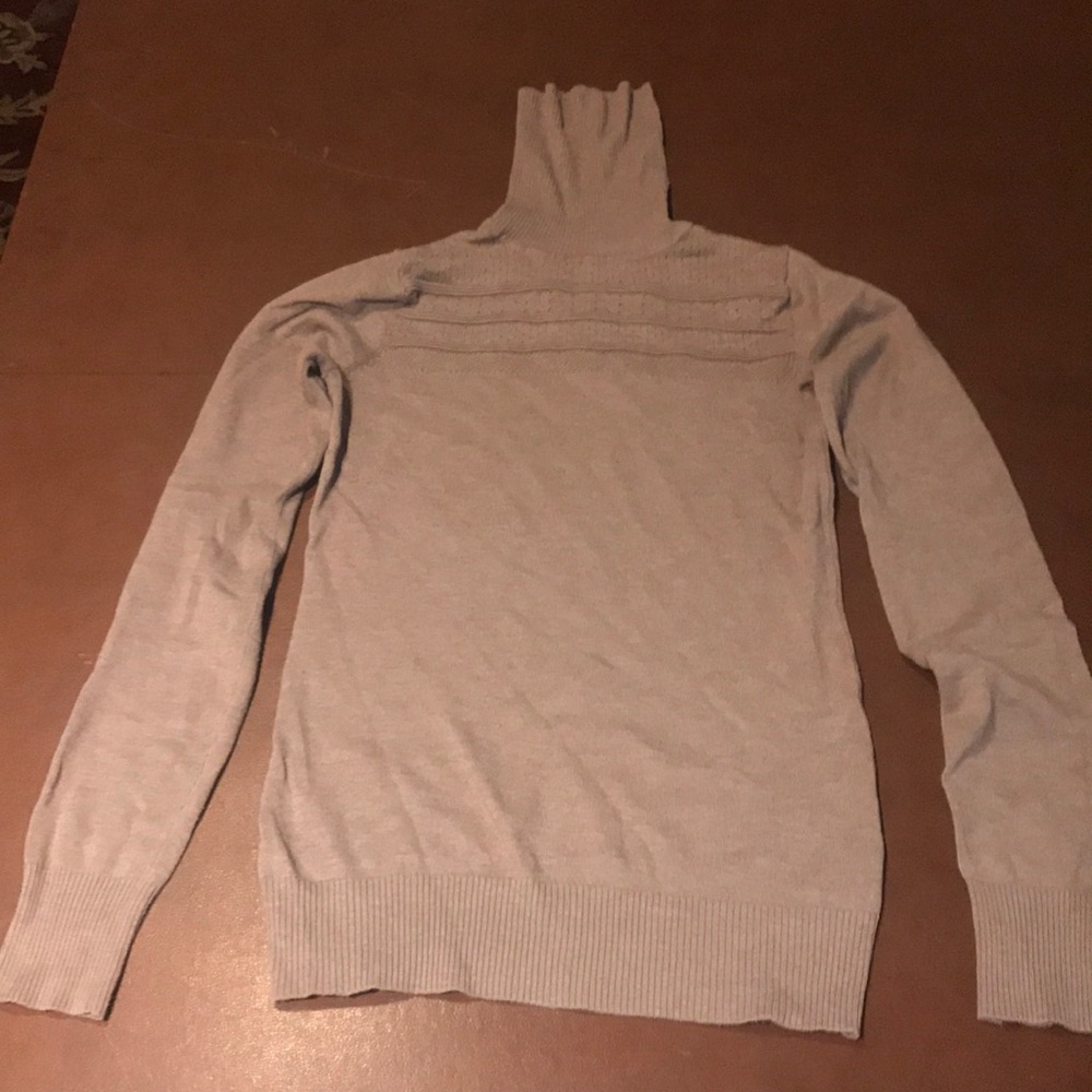 The Limited Knit turtleneck sweater